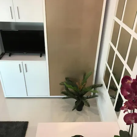 City Garden Black Sea מלון דירות קונסטנצה