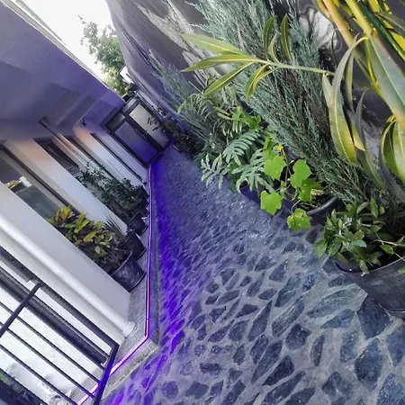 מלון דירות City Garden Black Sea 3*