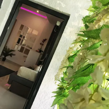 City Garden Black Sea 3* קונסטנצה