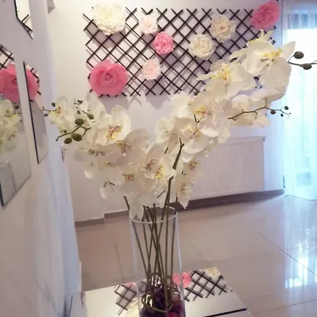 City Garden Black Sea מלון דירות