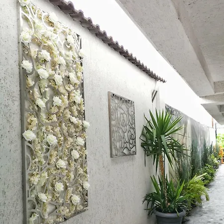 City Garden Black Sea 3*