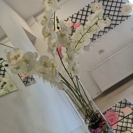 City Garden Black Sea מלון דירות
