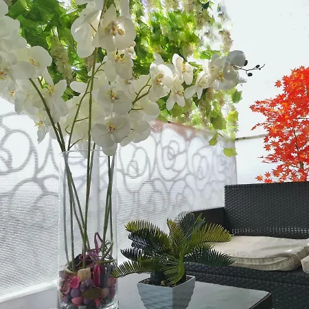 City Garden Black Sea קונסטנצה